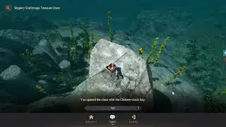 Slippery Scallywags Treasure Chest Locations - Black Desert Online