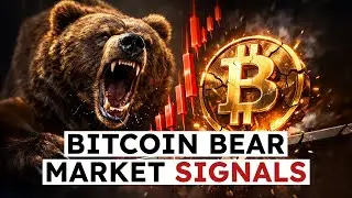 Bitcoin Enters Bear Market Behavior, What On-Chain Metrics Are Showing