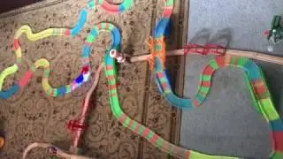 Train Time With MAGIC TRACKS