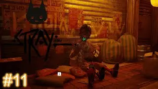 Stray #11: Das Spiel ist verbuggt?