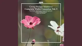 Concerto for 2 Violins in A Major, TWV 52:A2: II. Largo