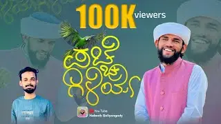 Pacche gili | EID MILAD SONG BEARY |HABEEB JOUHARI GOLIYANGADY NACCHU SHAN BOLANTHOOR