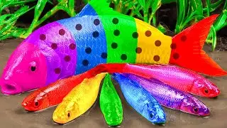 Stop Motion ASMR | The Battle of the Eel Hole Experiment Under Primer Mud Fun Amazing Fishing Video