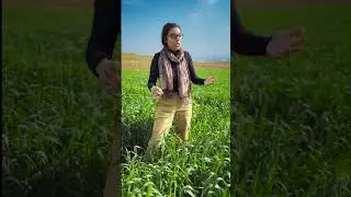 Darleene from USA and her experience with Gerrok Tourism! 🔆 #kurdistan #mesopotamia #gerroktourism