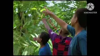 jery hip hop papua