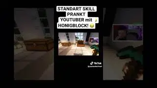 STANDART SKILL PRANKT YOUTUBER mit HONIGBLOCK auf Minecraft INSEL!