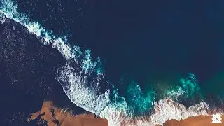 [ FREE ] Dancehall Riddim Instrumental 2019 - 