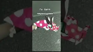 🧸драконы из ТТ🥺          Добьём актива?))