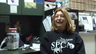 Project Animal Rescue, A Community Awareness Film