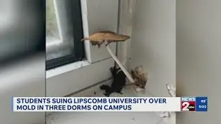 Students suing Lipscomb University over mold in dorms