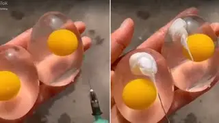 The Egg Scam Nobody Talks About &ndash; Protect Yourself Before It&rsquo;s Too Late