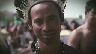 50 Years of Greenpeace
