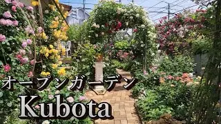 オープンガーデン クボタ 5月限定のバラ園 Open garden kubota