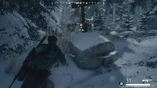 Vigor Caused a team killing