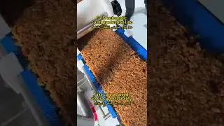 Incredible !!!!! 3,000 Sushi Roll  Per Hour! 🍣⚡ (Watch the Magic)