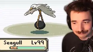 The Seagull Incident... (PokeScape)