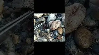 HO TROVATO UN GRANATO ROSSO - minerali italiani al fiume e dove trovarli!