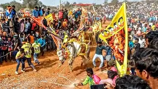 OMG BULLS GUTLAPALLI JALLIKATTU 2022 Mass performance