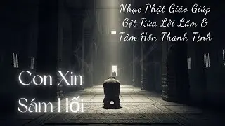 Con Xin Sám Hối (Lấy Đi Nước Mắt) - Nhạc Phật Giáo Giúp Gột Rửa Lỗi Lầm & Tâm Hồn Thanh Tịnh