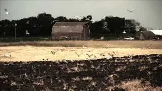 Old Milwaukee Plowing Association 