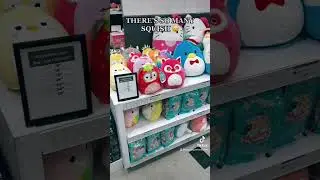 Showcase squish hunt! 🛍 #squishmallows #squishtok #squishhunt #squish #showcase #mall