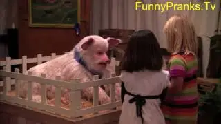 Talking Pig Prank!