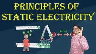 Static Electricity Basics: Charge Separation |  Triboelectric Series | Induced Charges (NSO | ICSE)