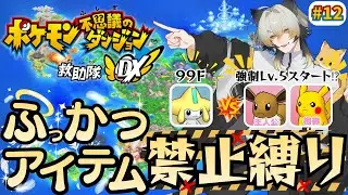 【ポケモン不思議のダンジョン救助隊DX】初見プレイ‼ストーリークリア後‼次の相手は「ジラーチ」願いの洞窟に挑戦‼相棒と共にダンジョンクリアを目指す‼【#ポケダン 】