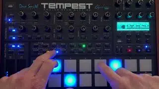 DSI Tempest Only - Analog Melodic Track