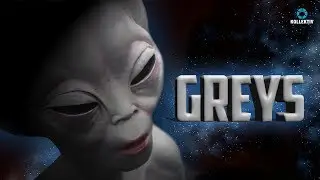 DIE GREYS - Die Geschichte der kleinen, grauen Aliens