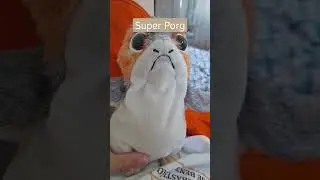 #porg