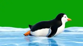 Penguin Slide on Ice Green Screen Loop | Penguin Awareness Day NCR Asset 08