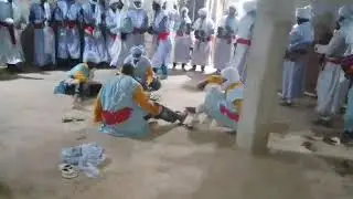 تنشط حفل زفاف من لقصر تاخفيف عائلة فرجي الله يصلح