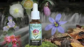 FlorAlive&reg; Uncut Flower Essences: ReviveAll&trade; is Enlightenment in Drops