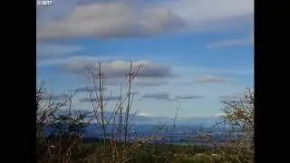 Real Estate for Sale Melott, Hillsboro, OR 97123