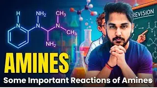 Class 12 Chemistry Chapter 9 – Some Important Reactions of Amines