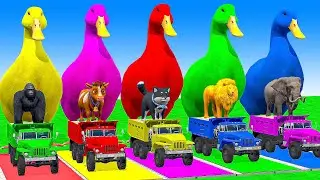 Long Slide Game With Cow Elephant Gorilla Hippopotamus Tiger 3d Animal Game Funny 3d Animals