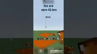 fox are zero IQ Minecraft#minecraft #gamer #shortsvideo #gamerfun #viralshort