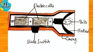 How to draw Torch Diagram I Torch Diagram