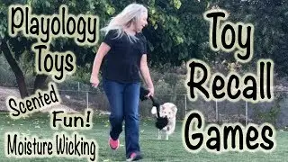Playology Toys: Toy Recall Games
