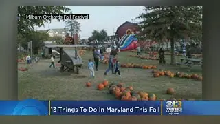 13 Things To Do In Maryland This Fall
