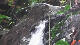 A trip to the lower waterfall of  Laboum in the Kyabobo National Park in Nkwanta