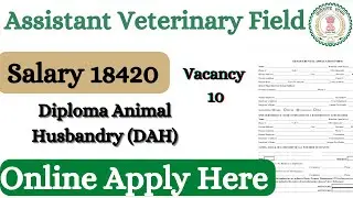 Assistant Veterinary Field Officer &ndash; 10 Posts |Office of the Deputy Director Veterinary Sercices |