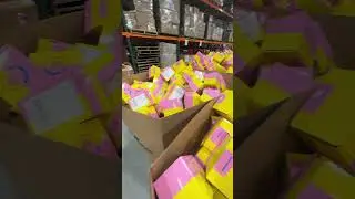Weird Things in the Peachybbies Slime Shop