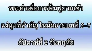 W2D4 ความเป็นสุขของผู้ที่โศกเศร้า, ผู้ที่อ่อนสุภาพ และผู้ที่สร้างสันติ ซึ่งถูกเรียกว่าบุตรของพระเจ้า