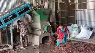 Pet Bottle Brown Crushing By sheikh plastic