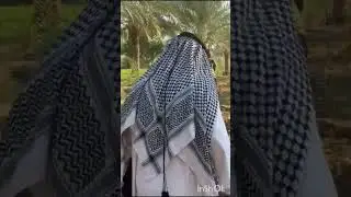 محافظ النجف يوسف كناوي وهيئة الاستثمار يعدمون اكثر من اربعين الف نخلة مثمرة بحجة الاستثمار السكني