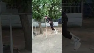 брусья