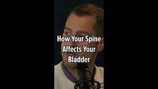 How Your Spine Affects Your Bladder