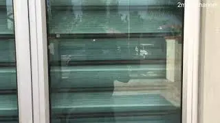 Шторы-жалюзи Zebra Estor, комплект для подключения к электросети, быстрый просмотр.